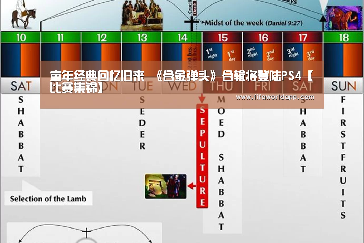 比赛集锦