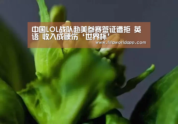 实时比分