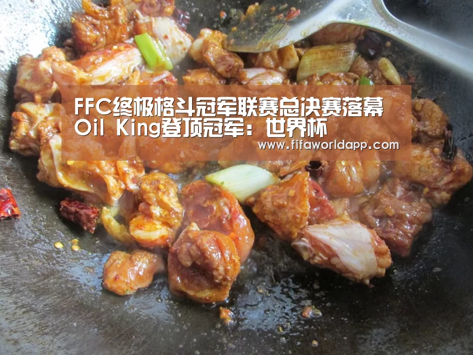 FFC终极格斗冠军联赛总决赛落幕 Oil King登顶冠军：世界杯